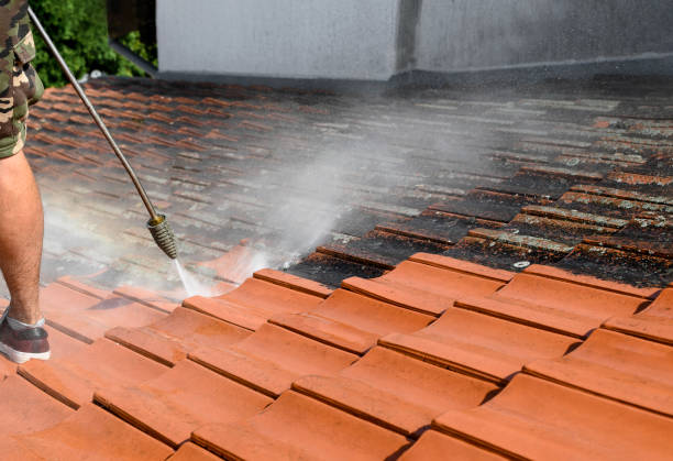 Best Local Pressure Washing Services  in Tunica, MS