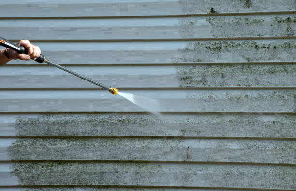 Professional Pressure Washing in Tunica, MS